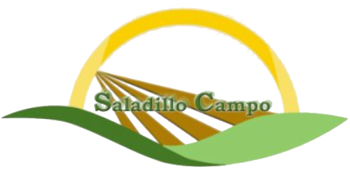 Saladillo Campo